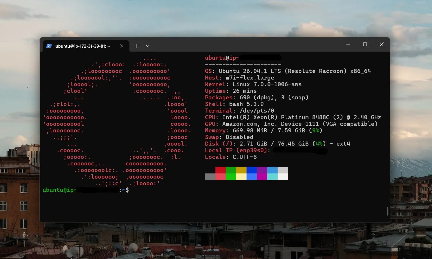 command line terminal or powershell showing ubuntu